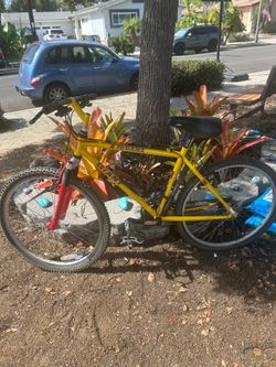 Vintage giant mountain bike retro colors -
