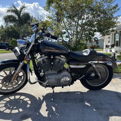2006 Harley 883 sportster