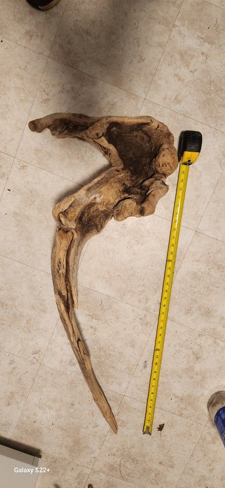 Wood pieces for taxidermy