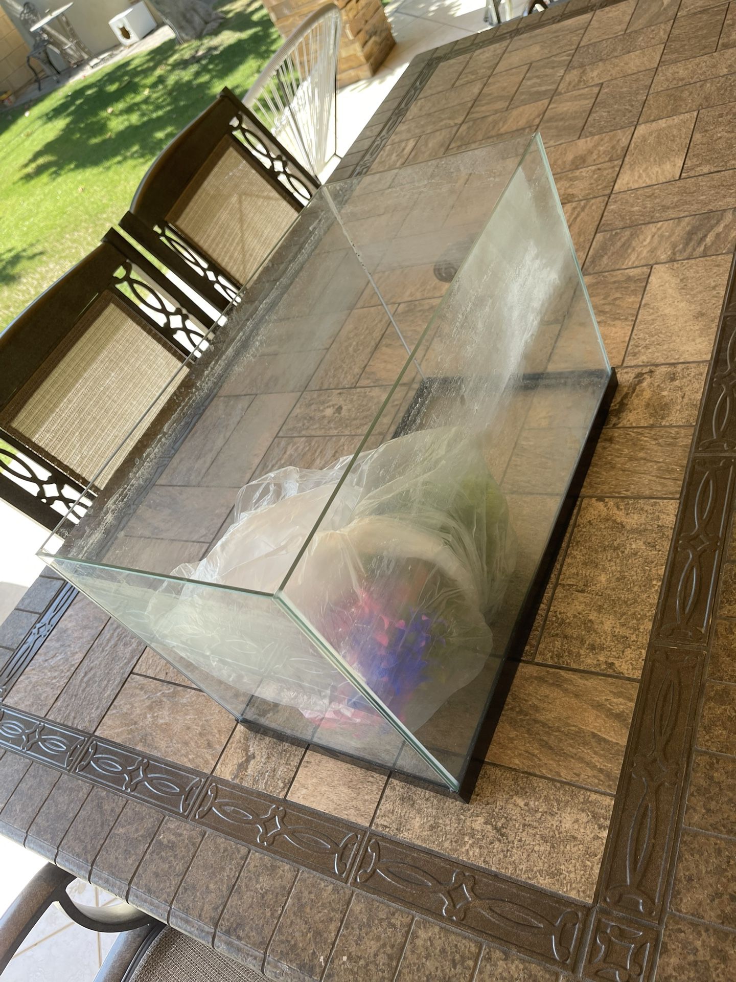 Fish Tank 20 Gal