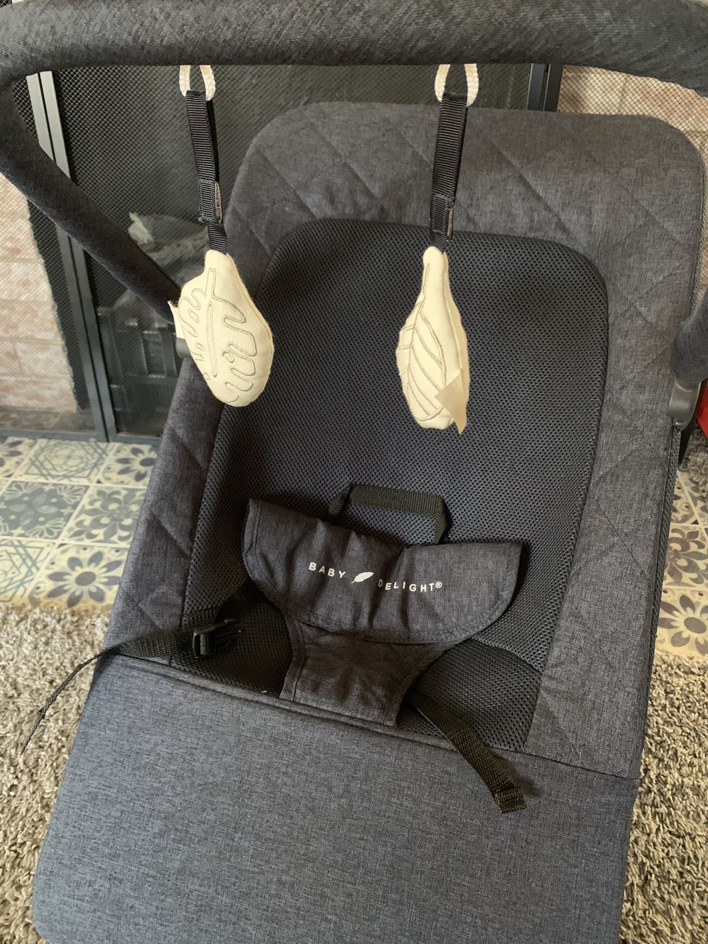 Baby Delight Bouncer