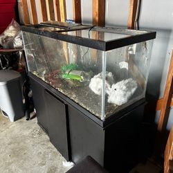 Everything In Pictures Included 