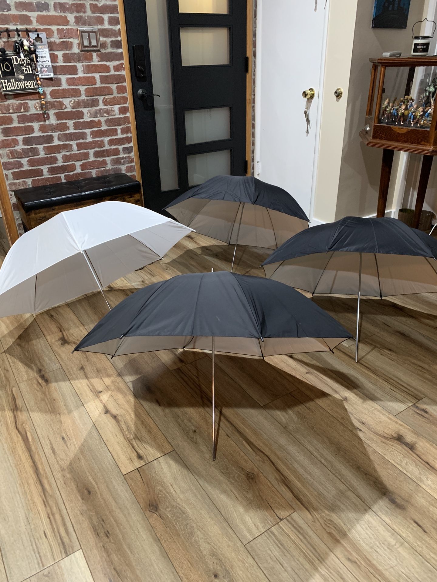 Photography Umbrellas