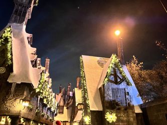 Universal Express Ticket For 2 $60 Each