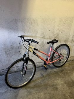 Mountain bike