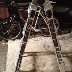 Gorilla Ladder 