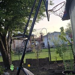 Basketball Hoop and Stand $Make Offer