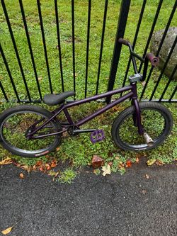 WeThePeople Crysis Matte Purple BMX brake-less bike 20in