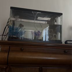 FISH TANK 10 GALLONS 