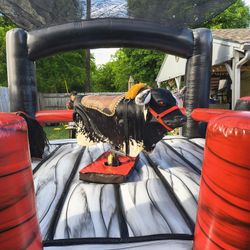 Mechanical Bull  Toro Mechanico 