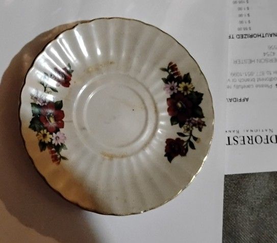 Fine Bone China Sauer