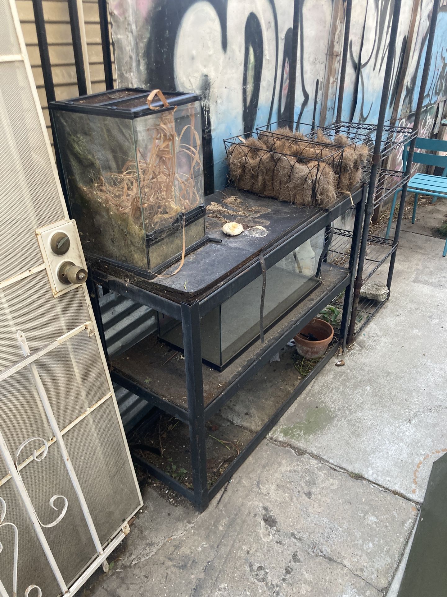 Terrarium and Aquarium