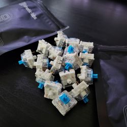 Blue Keyboard Switches