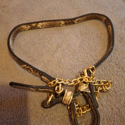 Dog Collar