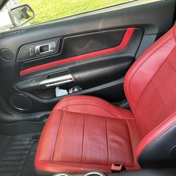 2020 Premium Gt 6speed One Of A Kind