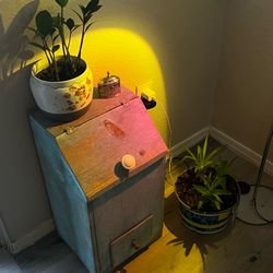 Storage/Vintage vegetable bin.