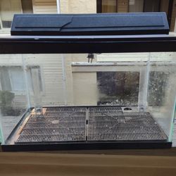 10 Gallon Glass Fish Tank With Lid And Light Fixture
