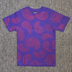 THE HUNDREDS X JOSHUA VIDES TEE SIZE SMALL
