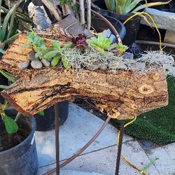 Custom log planter w/ succulent  and concrete stand