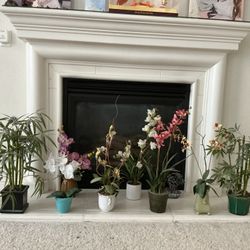 Silk  flowers  -  $8  each