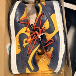 Nike Sb Jordan 10-13