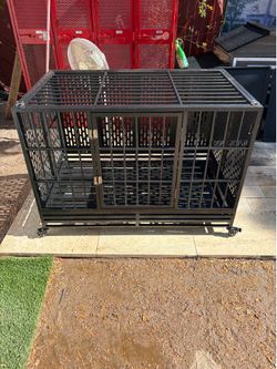 steel dog cage