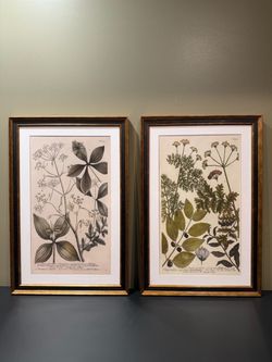Set of 2 Framed Botanical Prints – Black & Gold – 16 × 24