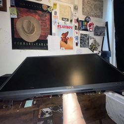 Dell P2417H 24" IPS Monitor – No Stand / No Cables