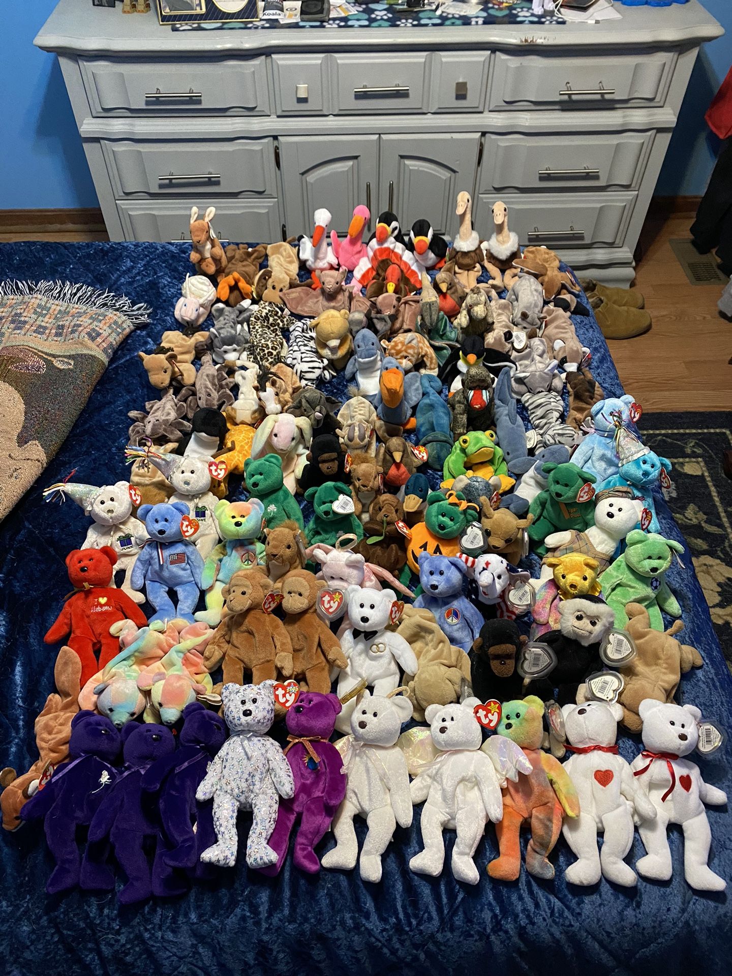 102 Beanie Babies 4 / 22 / 2024 