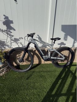 Davinci E Mtn bike