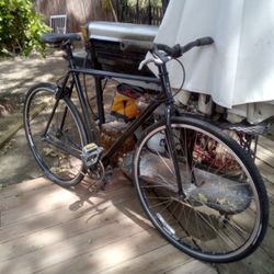 UPPER DOUBLE BARRED TREK