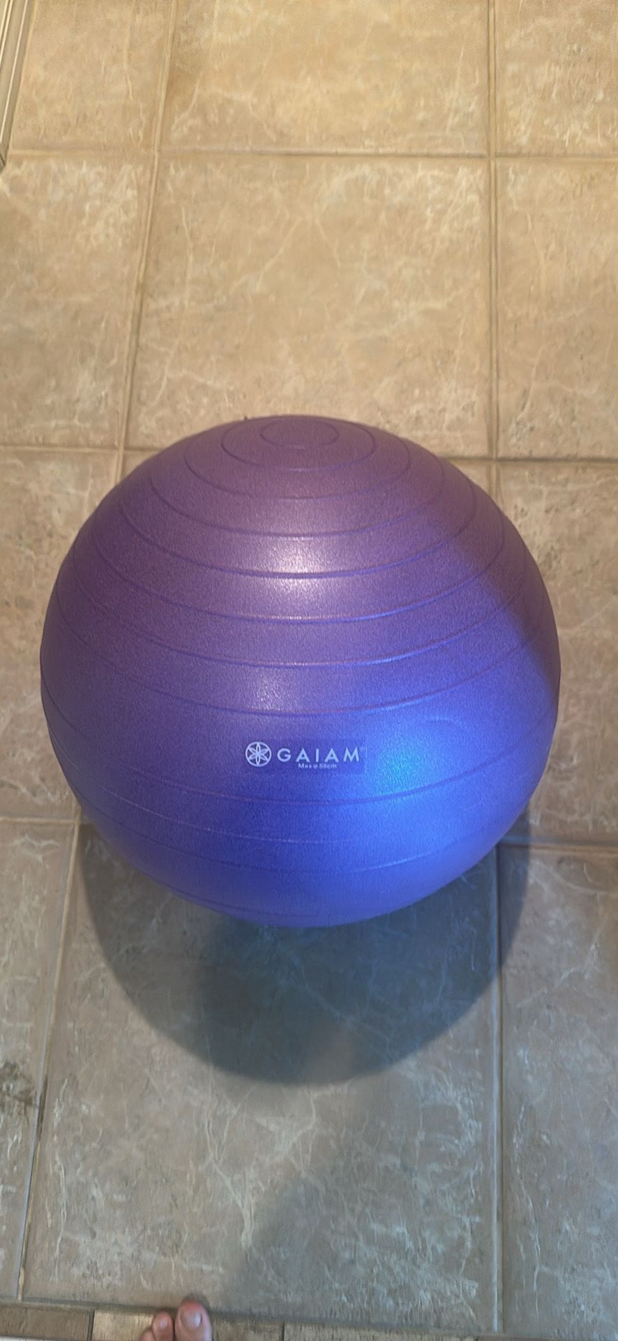 Exercise Ball
