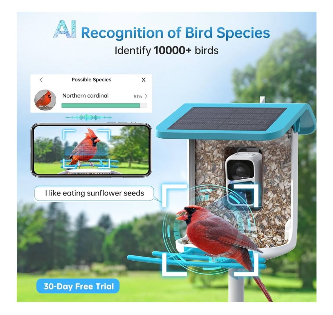 SMONET Bird Feeder with Camera B300 New 50