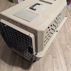 Pet Taxi