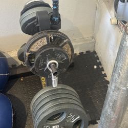 Bench Press 