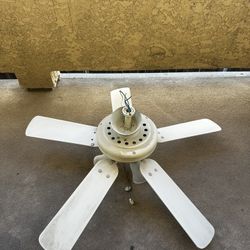 Calling Fan 