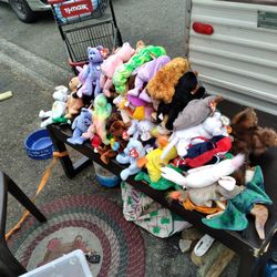 ty beannie baby collection all rare and error babies
