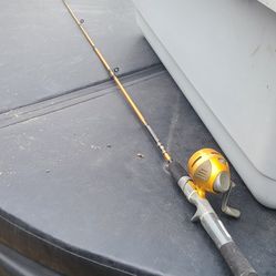 Zebco Fishing Rod And Reel Combo.