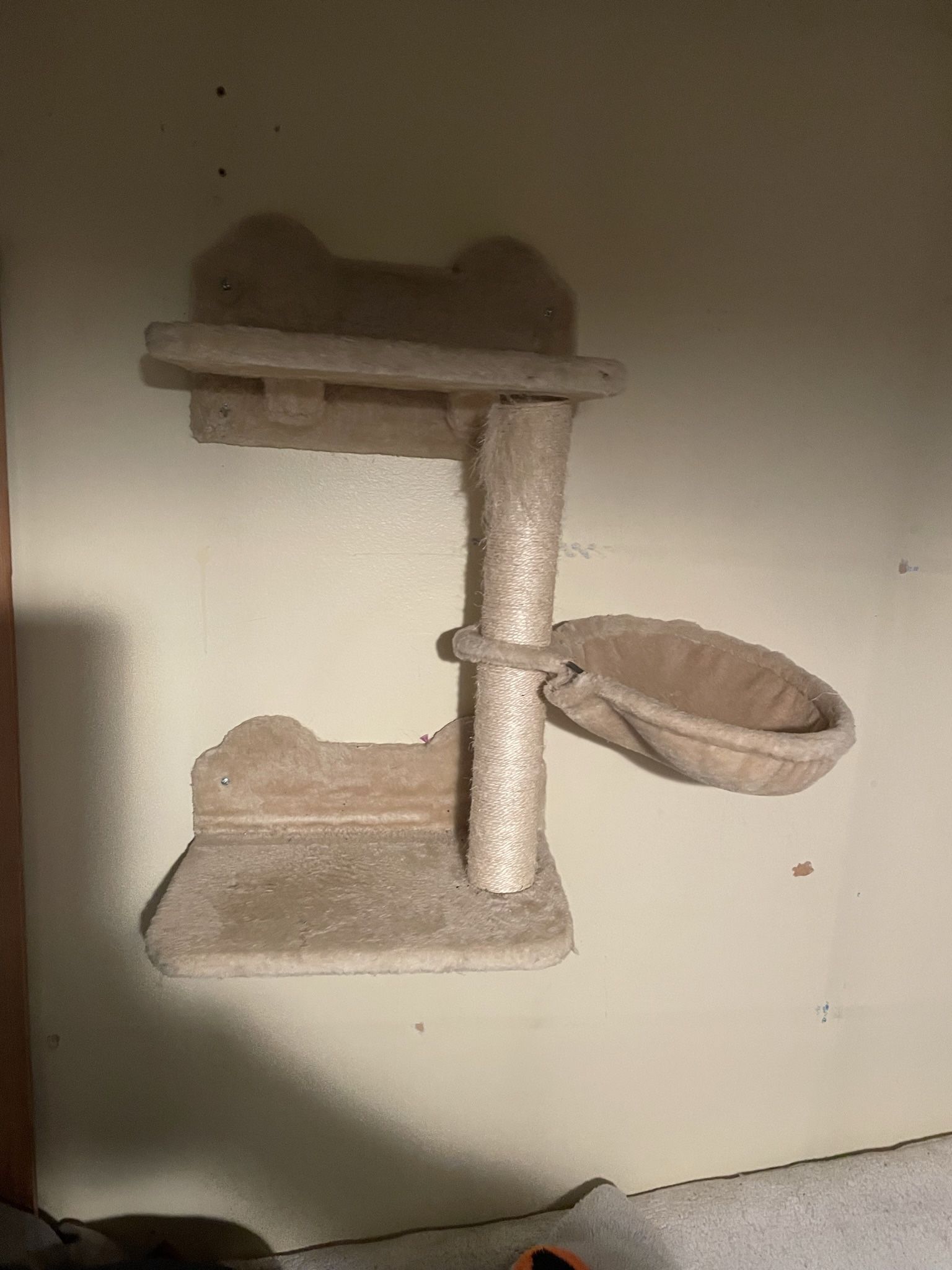 Cat Perch