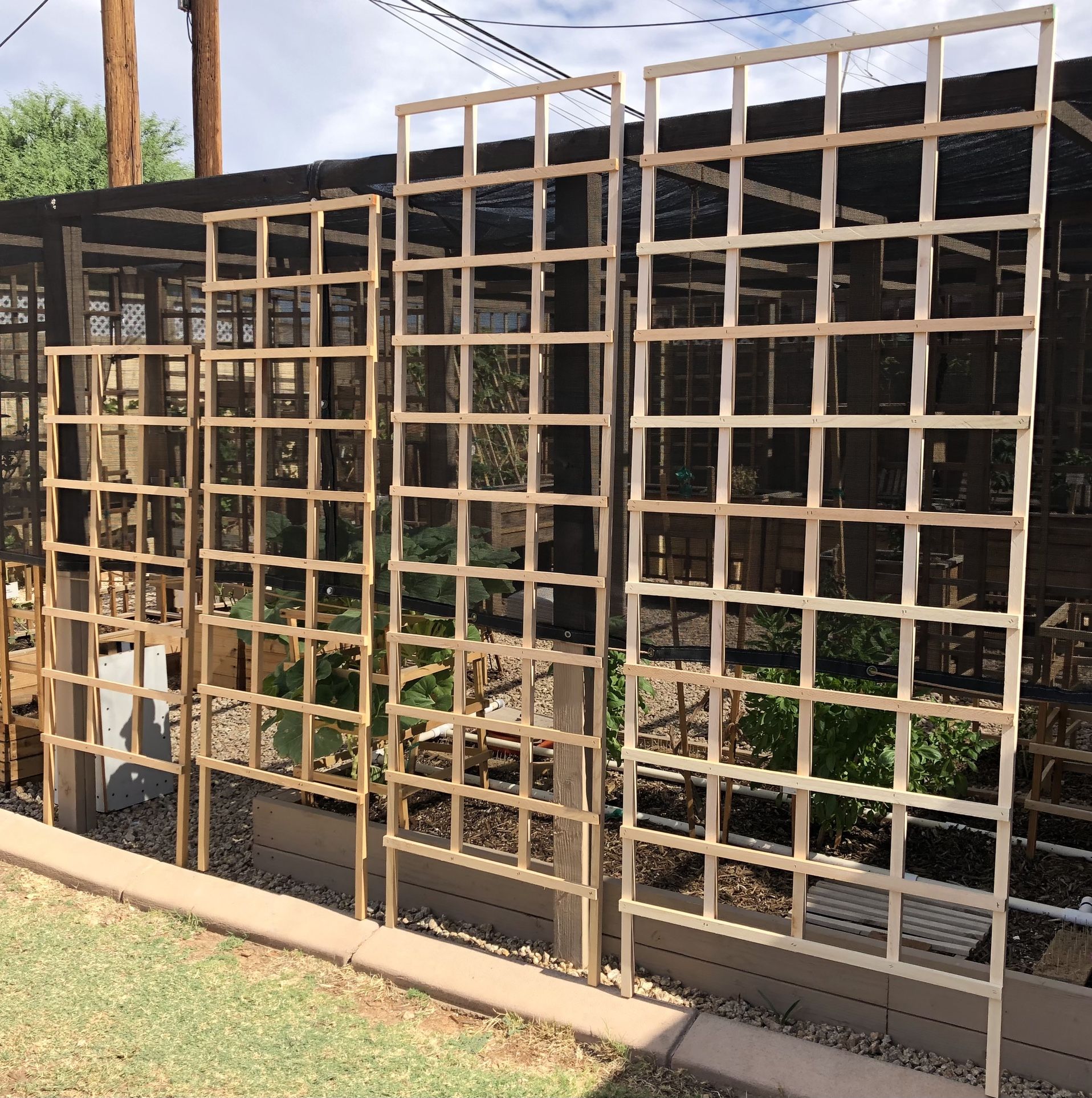 Plant Trellis Vines, Trees, Vegetables, Garden, Landscaping Starting At $15.