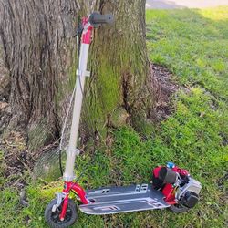 Goped Sport Go Ped Gas Scooter 450 Firm Free Delivery 