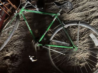 Schwinn collegiate