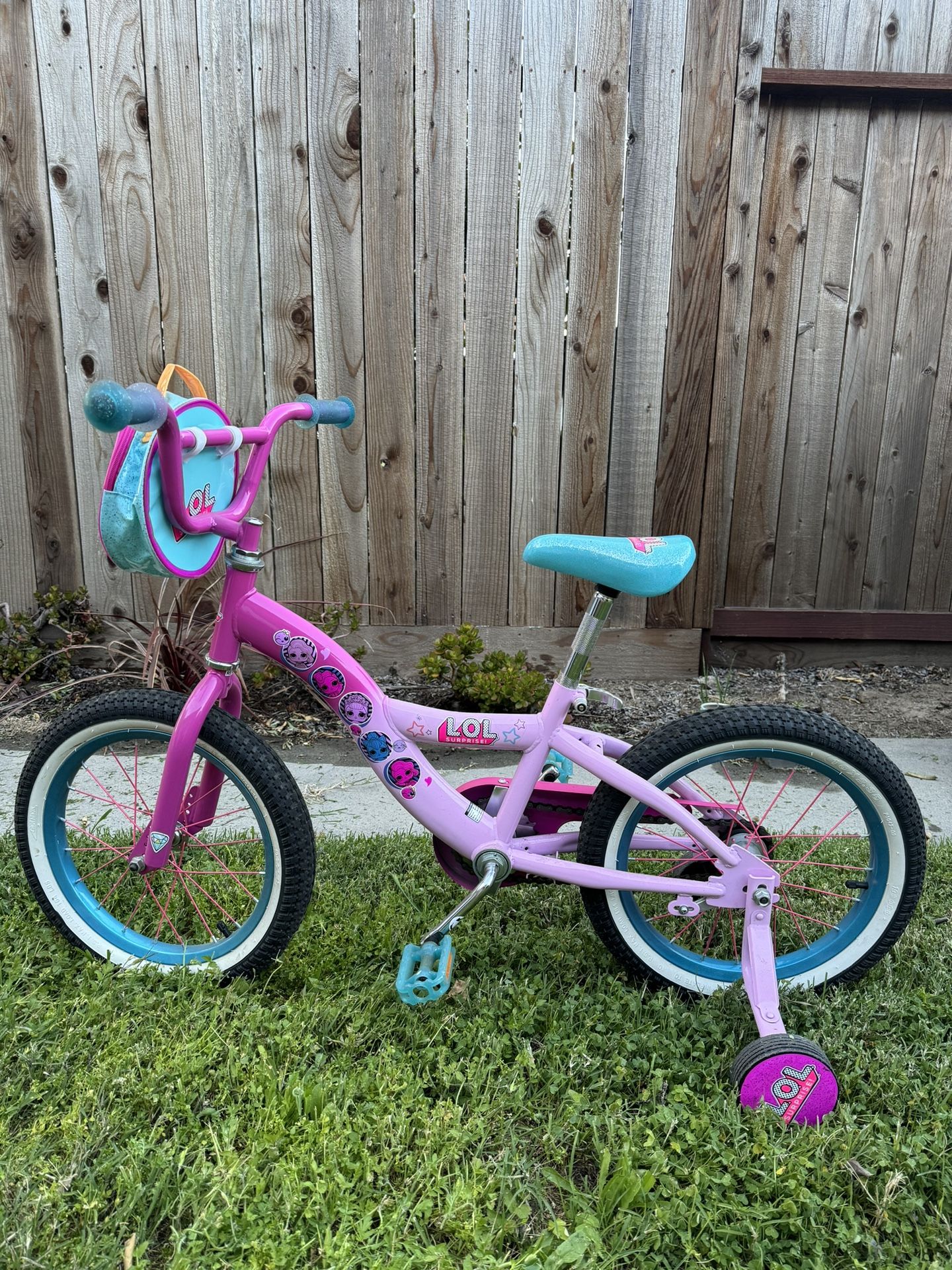 Girls Bike With Training Wheels