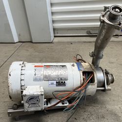 Daytona Wash Down Motor 3-Phase 