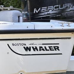 Boston Whaler Ventura 