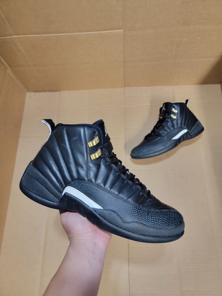 Size 11 - Jordan 12 Retro The Master 2016