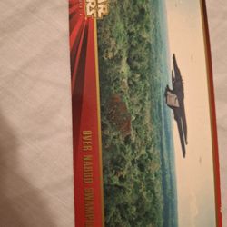 Star Wars Card Oversized