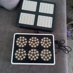 Led Grow Lights