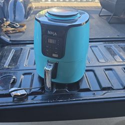 Ninja Air Fryer 4qt