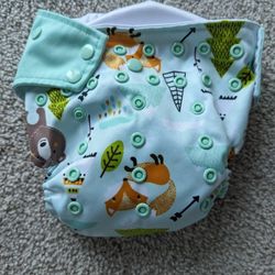 Reusable Diaper 